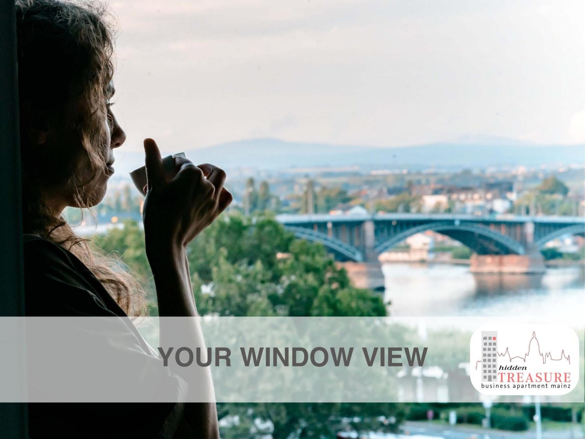 Hidden Treasure Business Apartment Mainz - Fantastic Rhine View In Center Of Mainz Old Town Eksteriør billede
