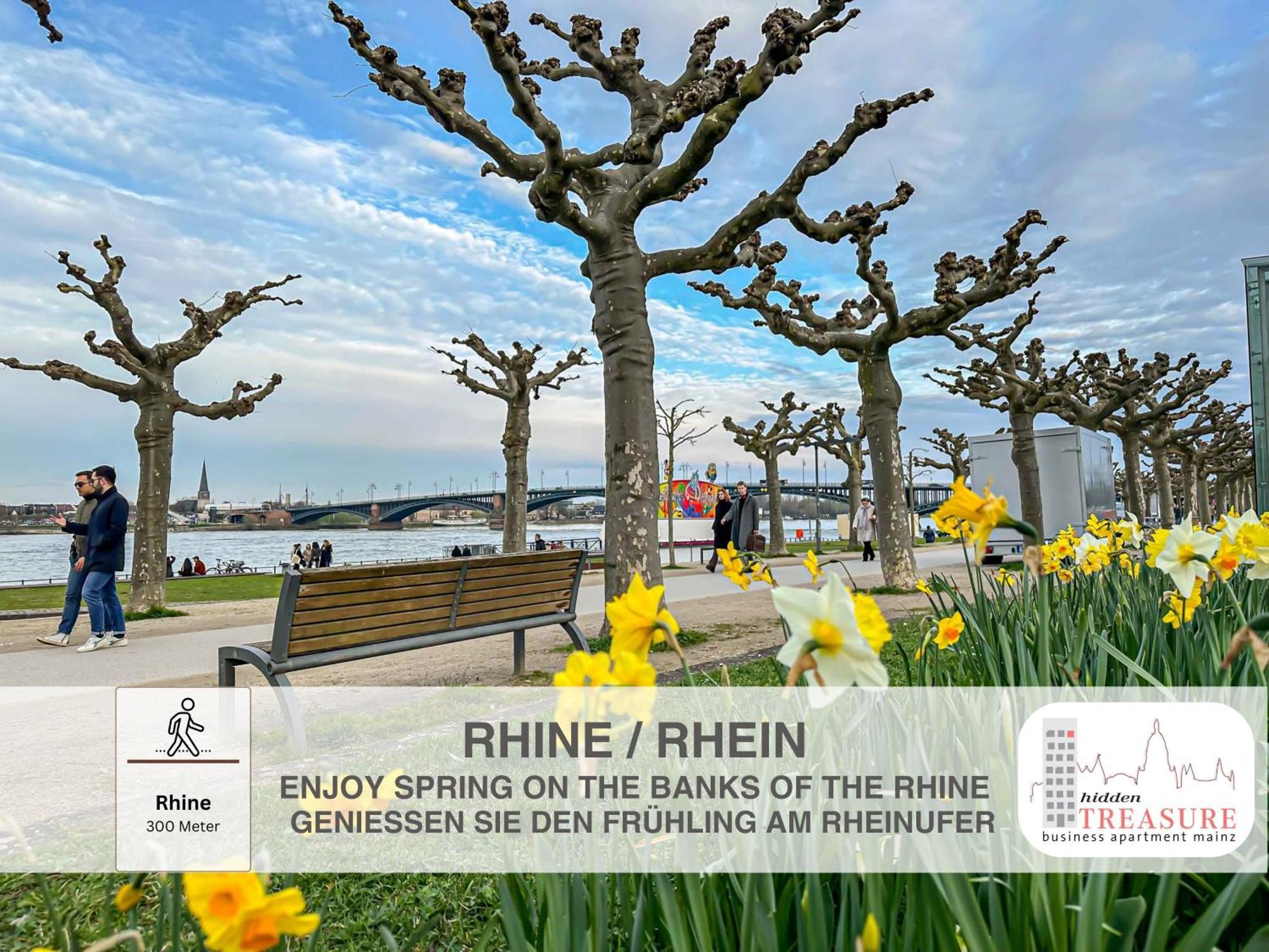 Hidden Treasure Business Apartment Mainz - Fantastic Rhine View In Center Of Mainz Old Town Eksteriør billede