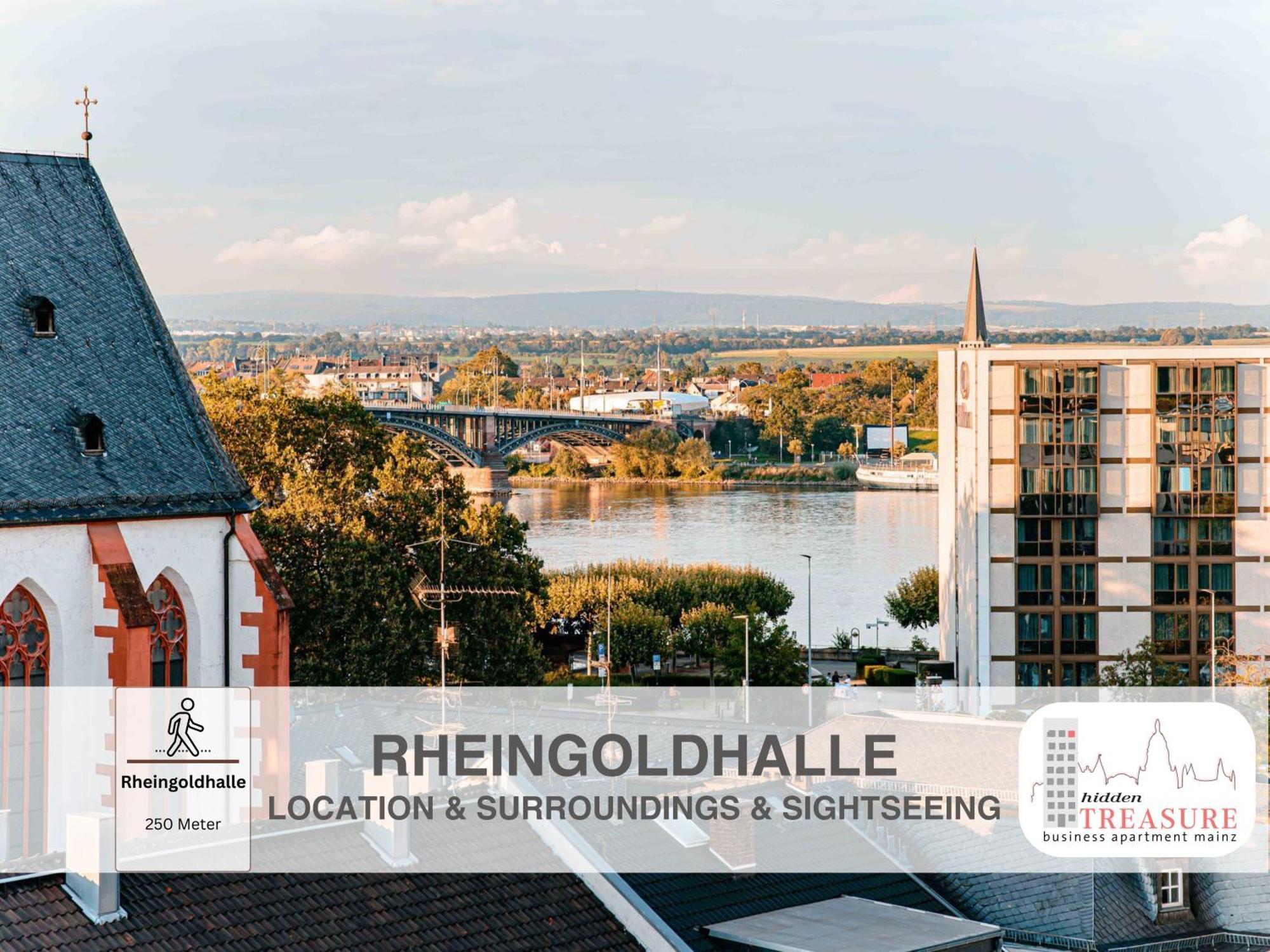 Hidden Treasure Business Apartment Mainz - Fantastic Rhine View In Center Of Mainz Old Town Eksteriør billede