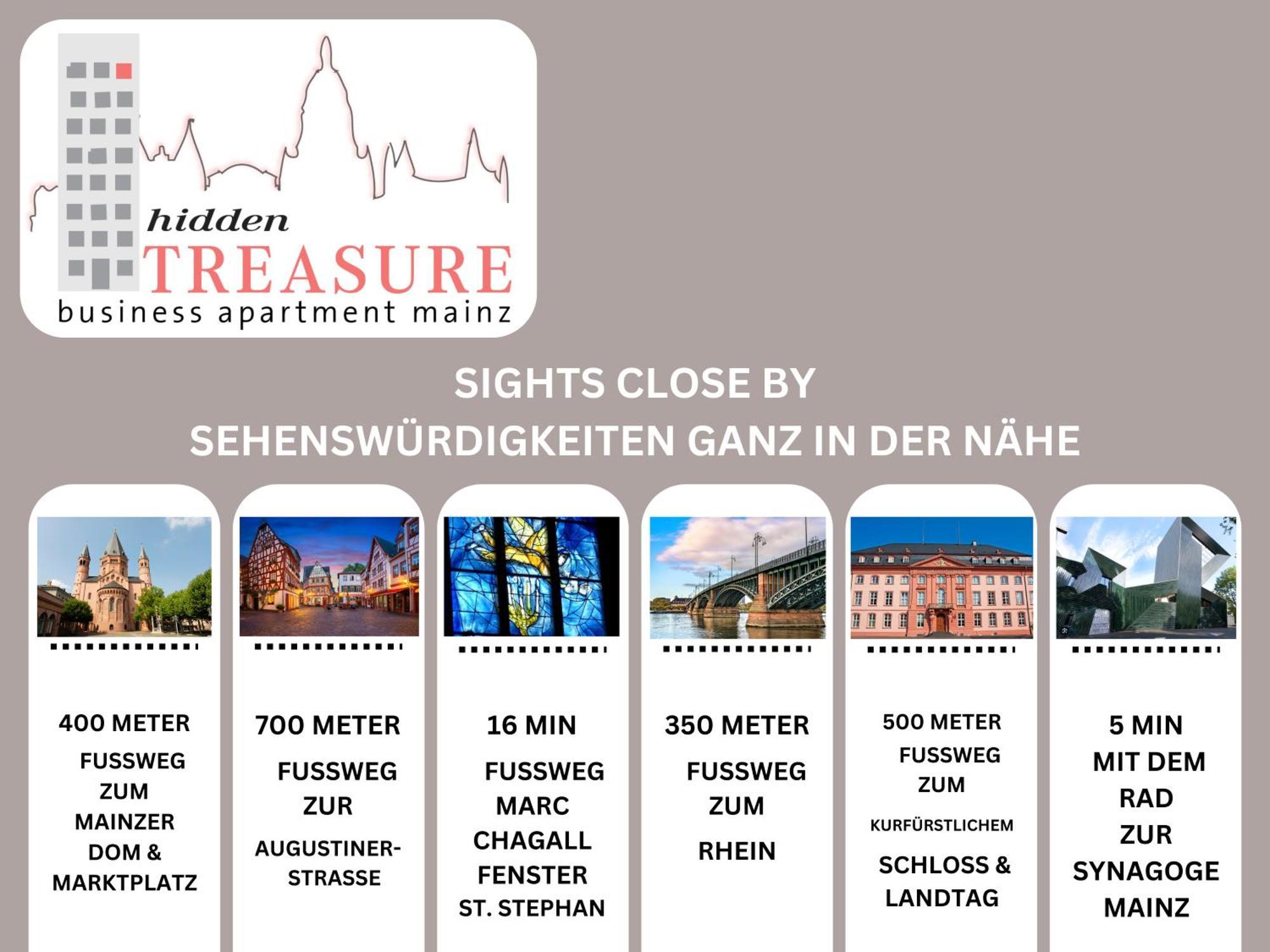Hidden Treasure Business Apartment Mainz - Fantastic Rhine View In Center Of Mainz Old Town Eksteriør billede